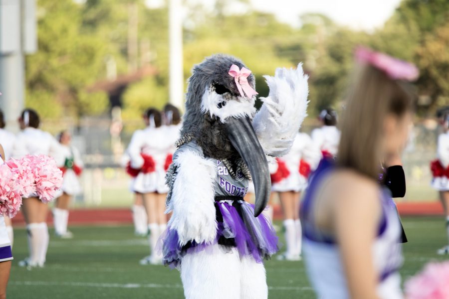 The school mascot, Storm the Ibis, at the football field alongside the cheerleaders. Photo by: Charlotte Gottfried