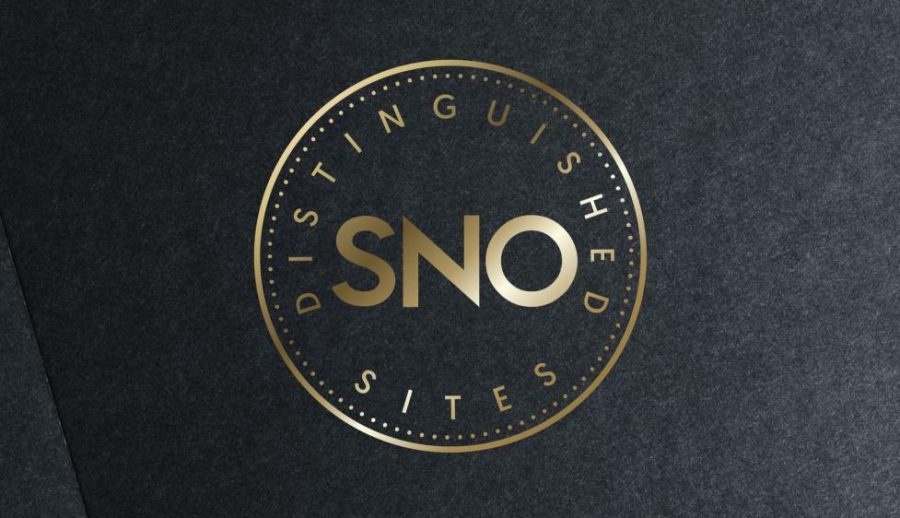 The official SNO Distinguished Sites symbol. The award is given to online newspapers that have gone above and beyond to meet their standards.