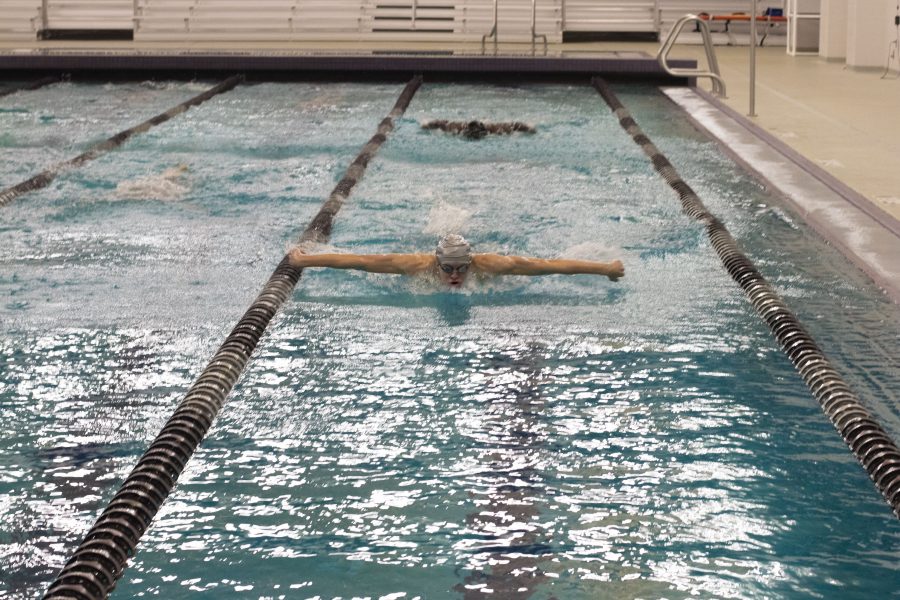 McNiece perfects his butterfly stroke. Photo by: Douglas Pham