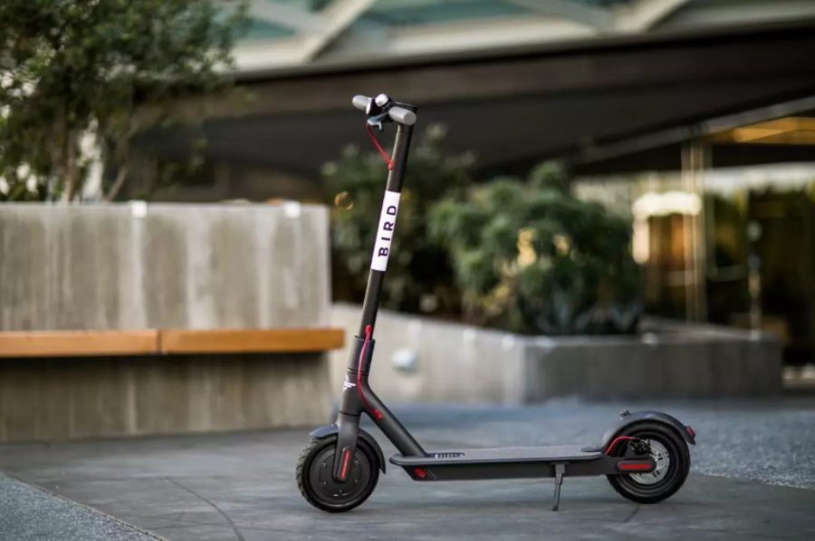 A Bird scooter. Image Credit: Bird