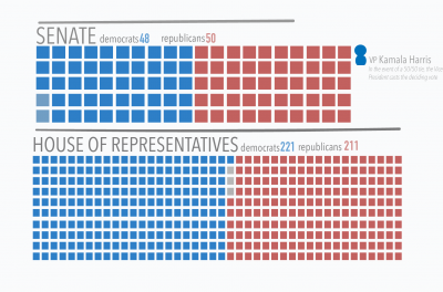 Infographic displaying the 117th house of congress. Photo by: Zoe Rivers.